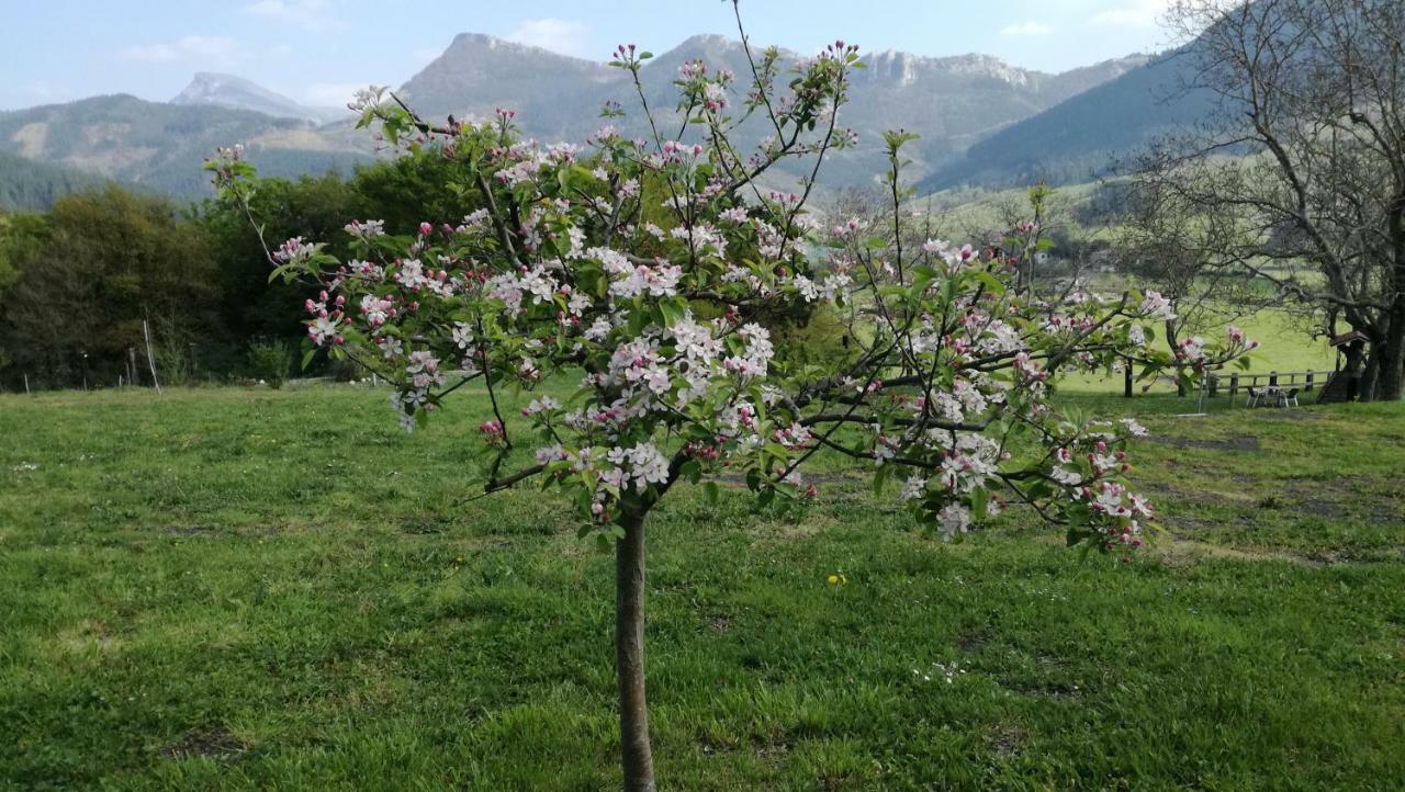 Casa Rural Urkulu Landetxea Arechavaleta Экстерьер фото